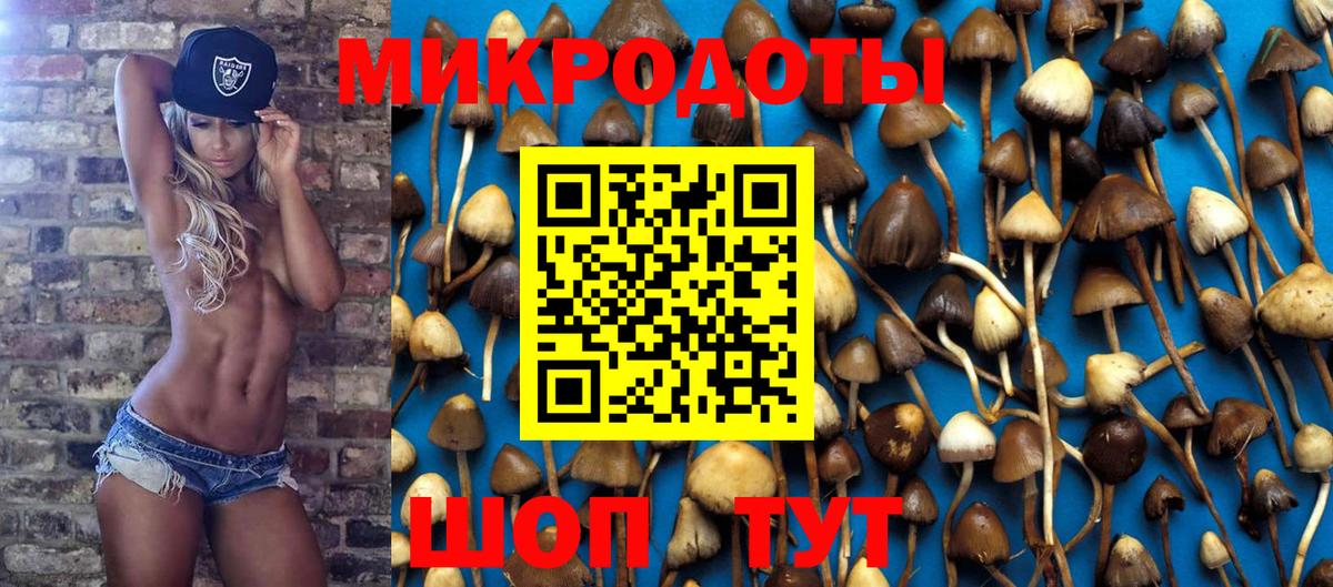 Геленджик  купить закладку  Вход с VPN  Галлюциногенные грибы Psilocybine cubensis 